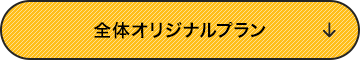 全体オリジナルプラン